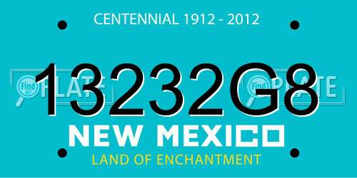 13232G8 New Mexico License Plate