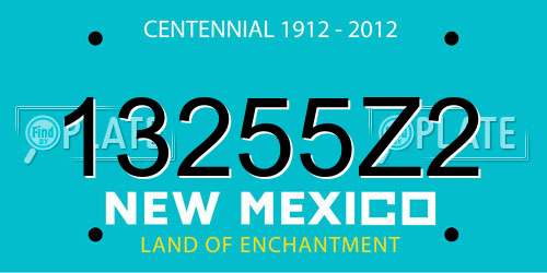 13255Z2 New Mexico License Plate