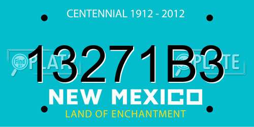 13271B3 New Mexico License Plate