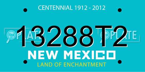 13288T2 New Mexico License Plate