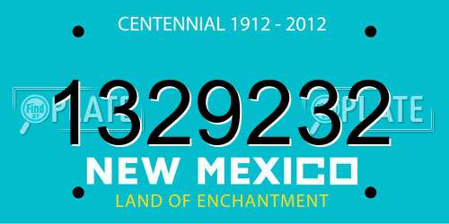 1329232 New Mexico License Plate