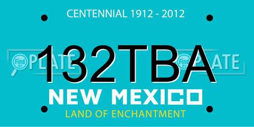 132TBA New Mexico License Plate