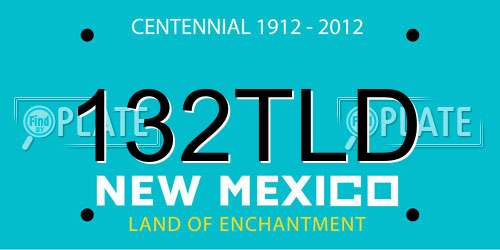 132TLD New Mexico License Plate