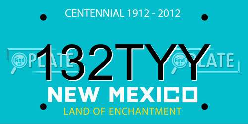 132TYY New Mexico License Plate