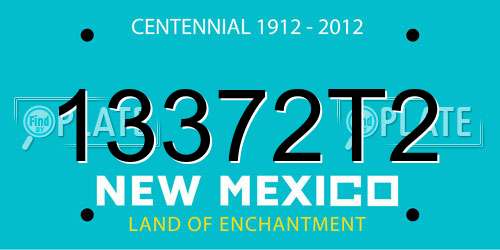 13372T2 New Mexico License Plate