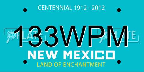 133WPM New Mexico License Plate
