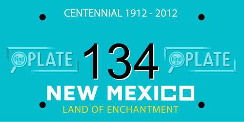 134 New Mexico License Plate