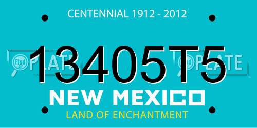 13405T5 New Mexico License Plate