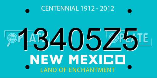 13405Z5 New Mexico License Plate
