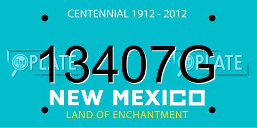 13407G New Mexico License Plate