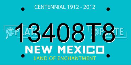 13408T8 New Mexico License Plate