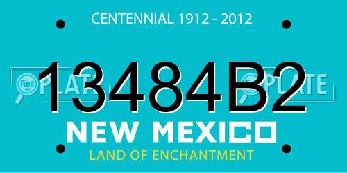 13484B2 New Mexico License Plate