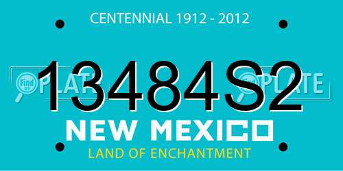 13484S2 New Mexico License Plate