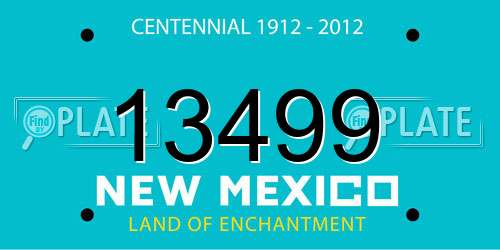 13499 New Mexico License Plate