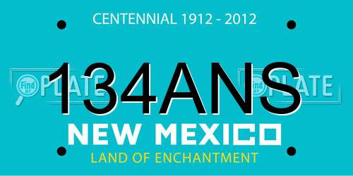 134ANS New Mexico License Plate