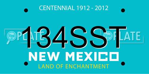 134SST New Mexico License Plate