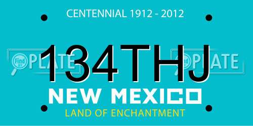 134THJ New Mexico License Plate