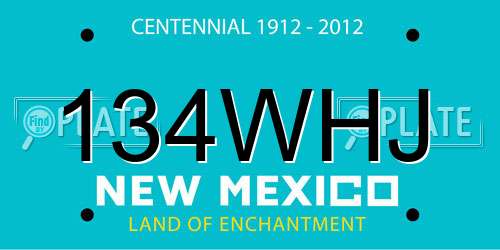 134WHJ New Mexico License Plate