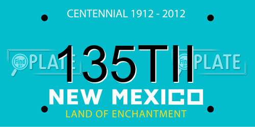135TII New Mexico License Plate