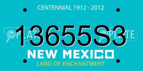 13655S3 New Mexico License Plate