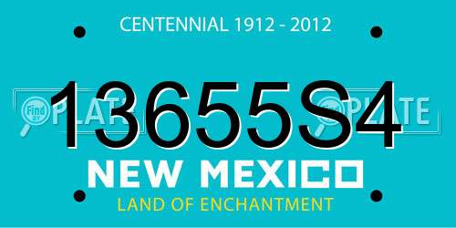 13655S4 New Mexico License Plate