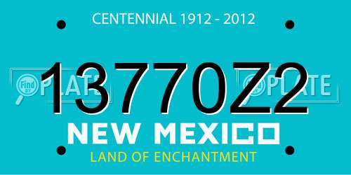 13770Z2 New Mexico License Plate