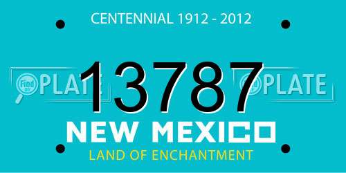 13787 New Mexico License Plate
