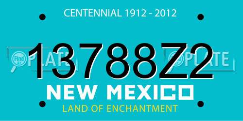 13788Z2 New Mexico License Plate