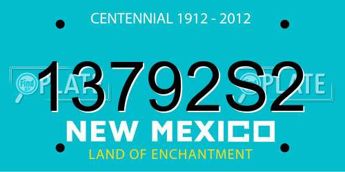 13792S2 New Mexico License Plate