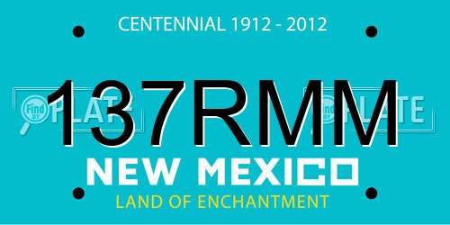 137RMM New Mexico License Plate