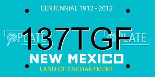 137TGF New Mexico License Plate