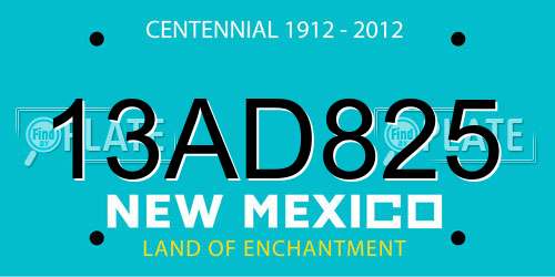 13AD825 New Mexico License Plate