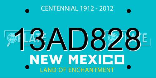 13AD828 New Mexico License Plate