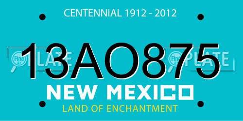 13AO875 New Mexico License Plate