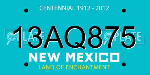 13AQ875 New Mexico License Plate