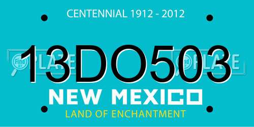 13DO503 New Mexico License Plate