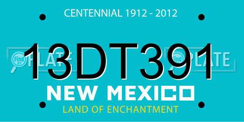 13DT391 New Mexico License Plate