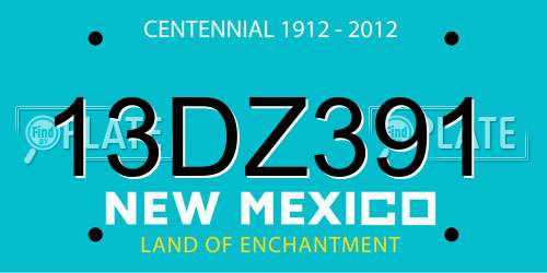 13DZ391 New Mexico License Plate