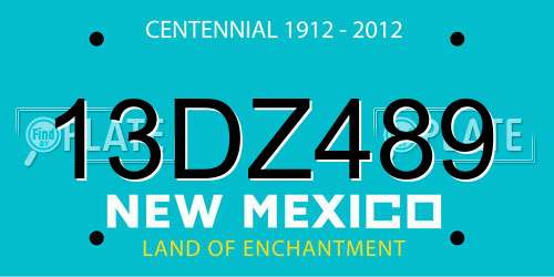 13DZ489 New Mexico License Plate