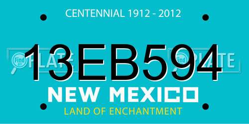 13EB594 New Mexico License Plate