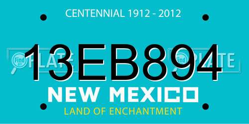 13EB894 New Mexico License Plate