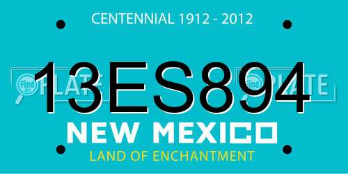 13ES894 New Mexico License Plate