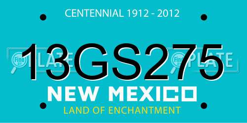 13GS275 New Mexico License Plate