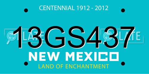 13GS437 New Mexico License Plate