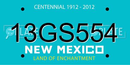 13GS554 New Mexico License Plate