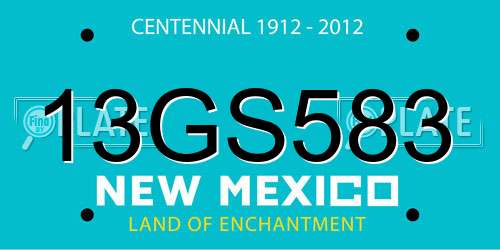 13GS583 New Mexico License Plate