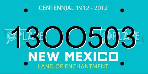 13OO503 New Mexico License Plate