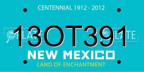 13OT391 New Mexico License Plate