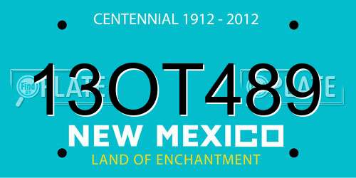 13OT489 New Mexico License Plate