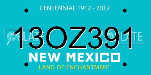13OZ391 New Mexico License Plate